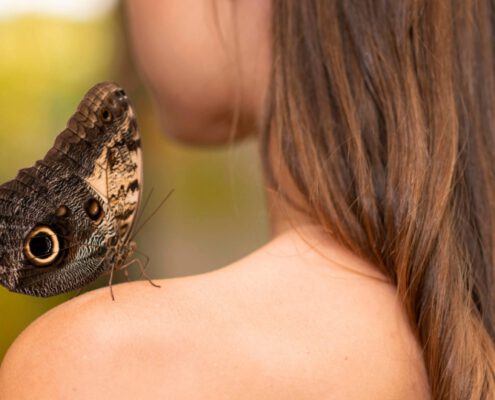 piel de mariposa